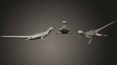 3D model Rock Agama lizard (STL)